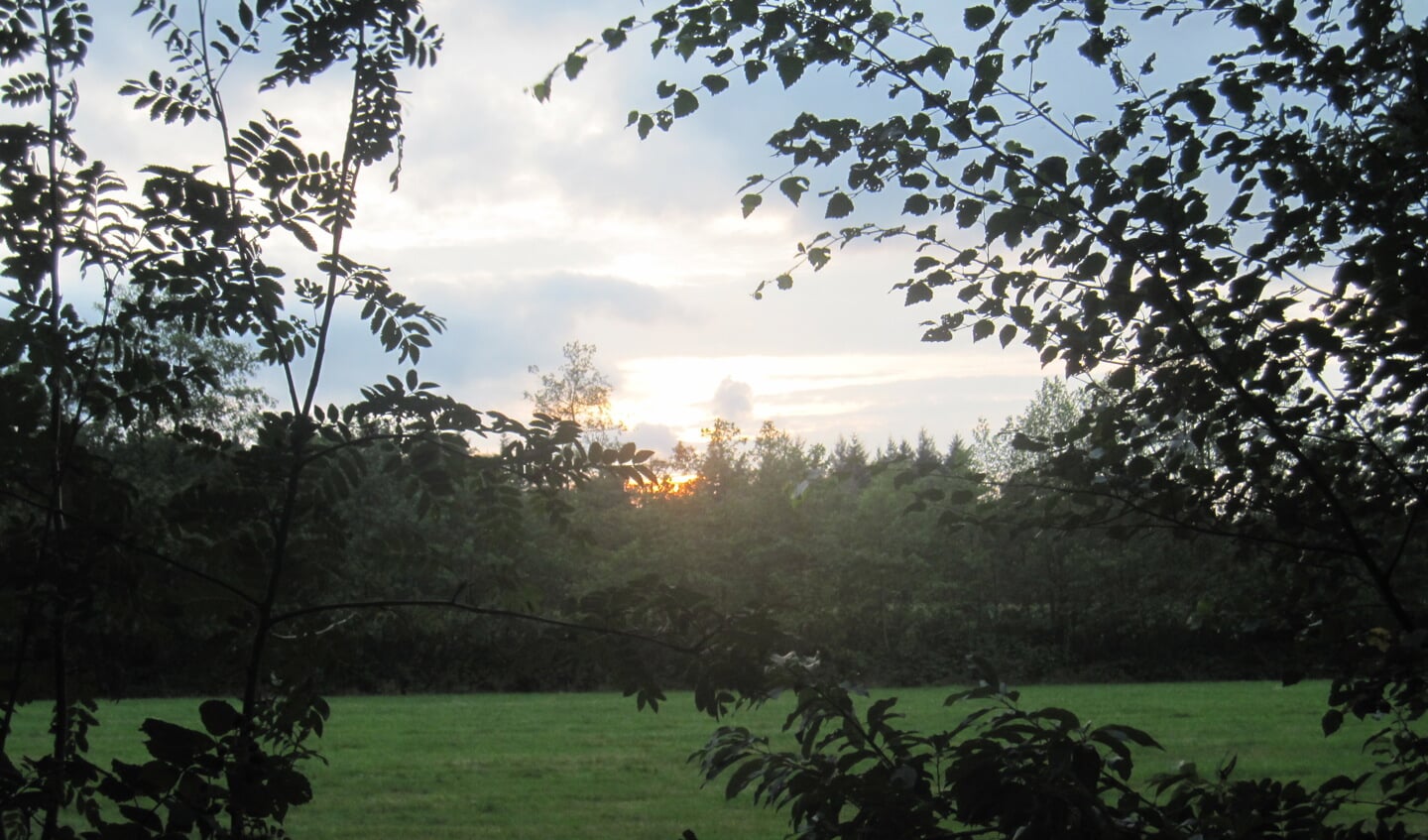 Wie een gebied kent van de vroege morgen zal verrast zijn in de zomeravond. Het zonlicht komt dan juist van de andere kant en alles lijkt weer anders.