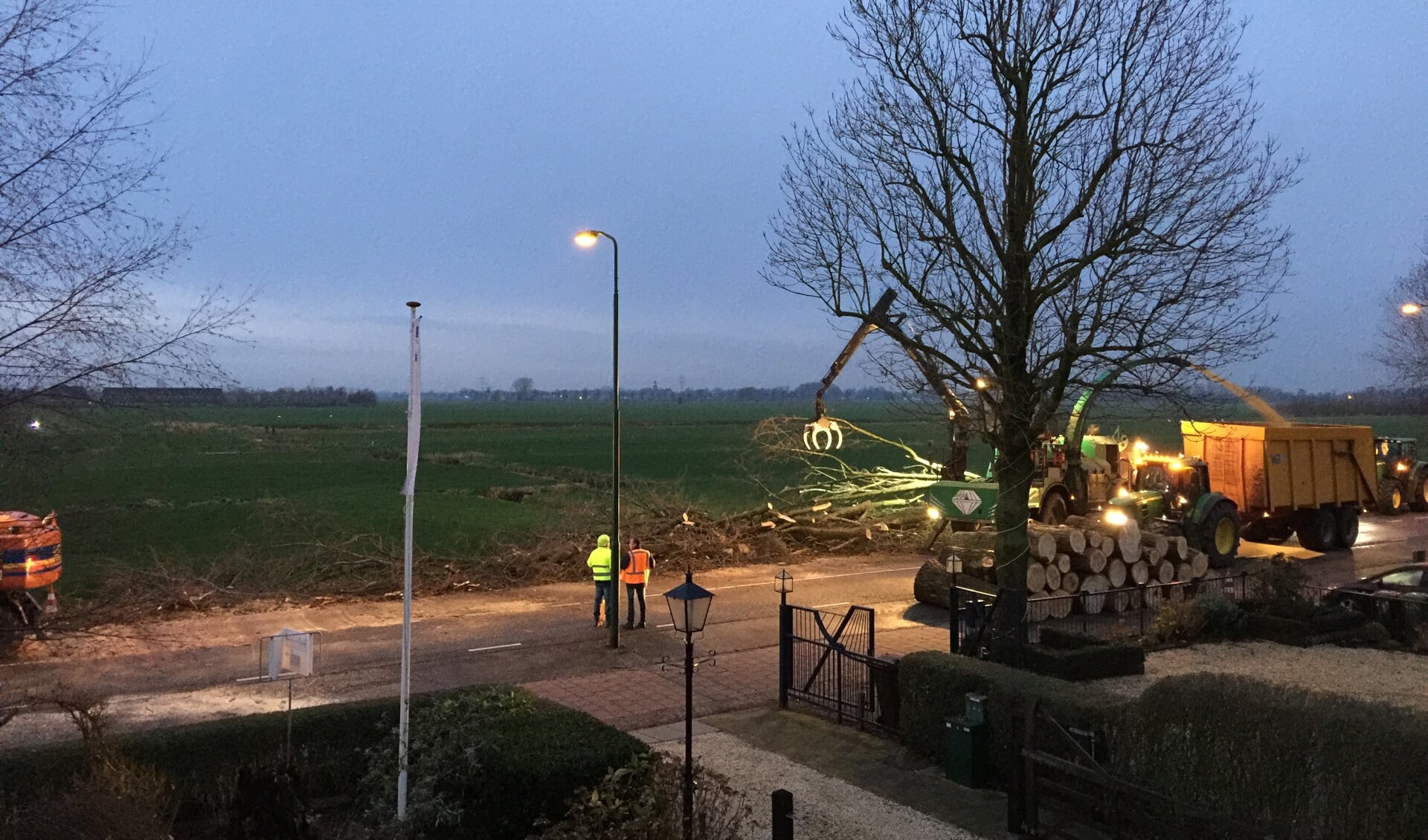 In alle vroegte was het (af-)zagen van de populieren begonnen. Foto Ariaan.nl