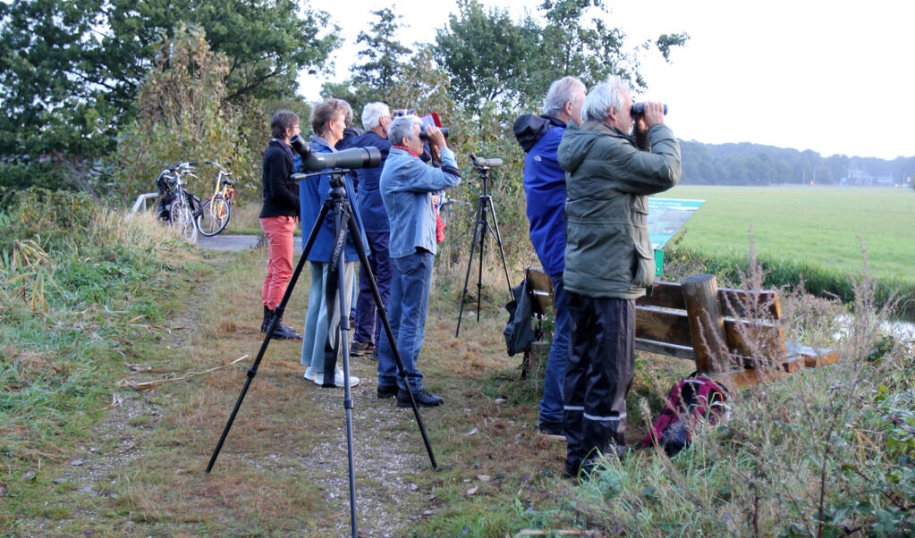 Rond 8.00 uur waren 11 mensen bij de telling aanwezig. 