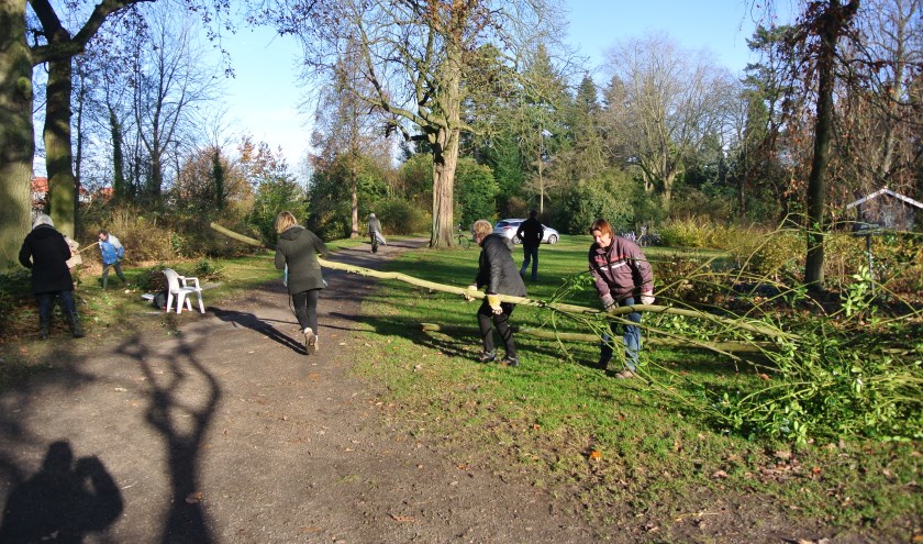 Vrienden van het Van Boetzelaerpark verslepen een gesnoeide boom, om daarna kort gezaagd te worden. (foto Frans Poot)