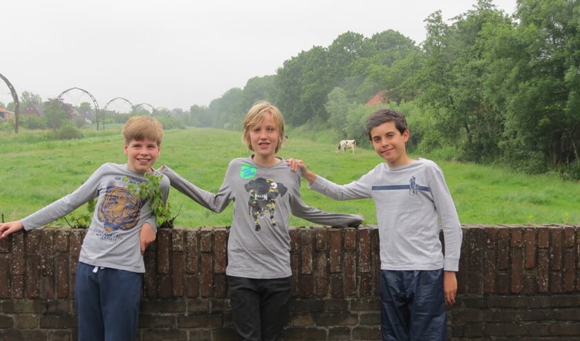 V.l.n.r. Feike, Boaz en Jasper met een koe op de achtergrond.