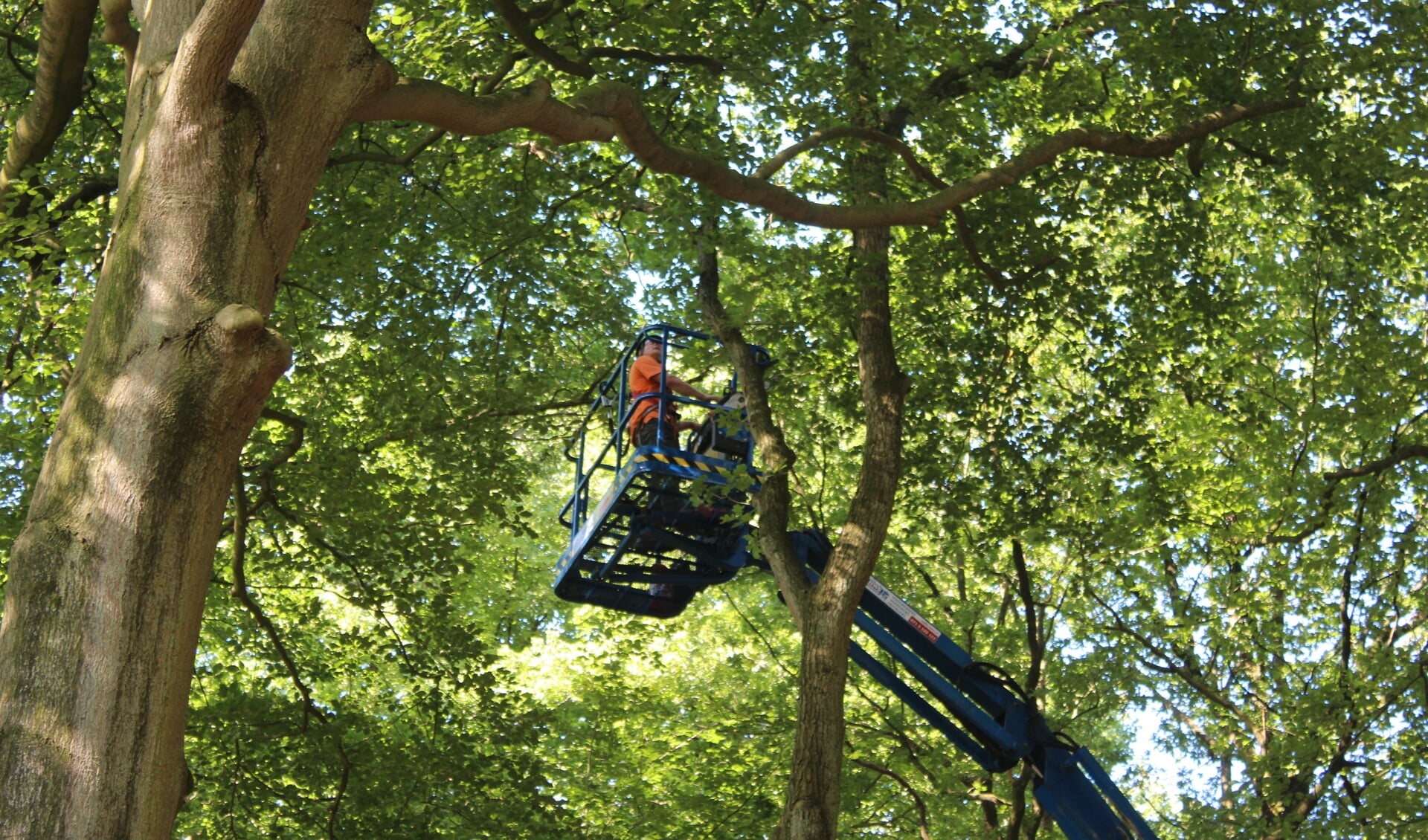 Inspectie en onderhoud op hoog niveau aan de Maartensdijkseweg.