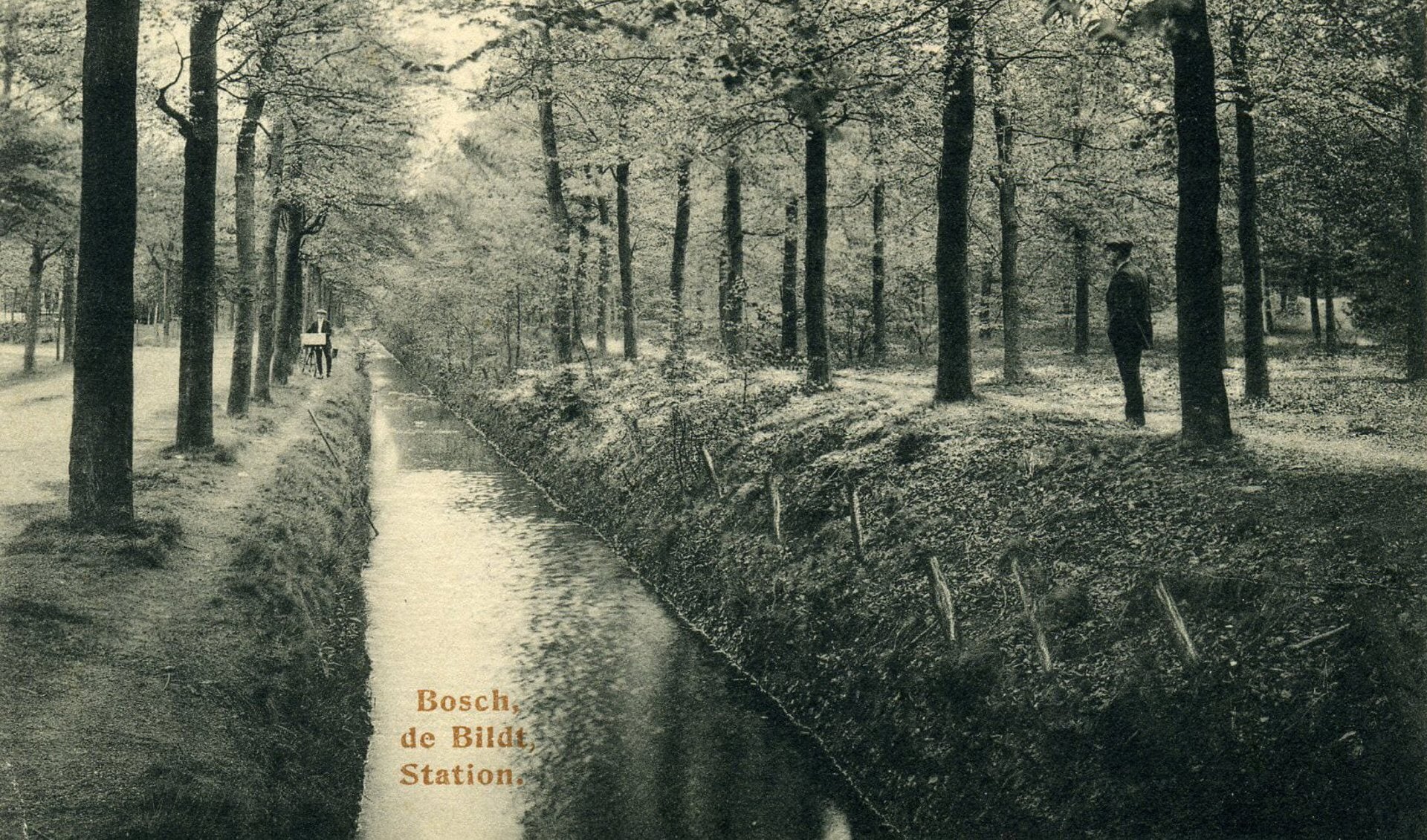 In 1914 zag de Boslaan er zo uit, kijkend vanaf de Soestdijkseweg. Links is de afbuiging naar de Nachtegaallaan. Door daling van het grondwaterpeil veranderde de sloot al snel in een moddersloot en werd in de jaren na de oorlog gedempt.
