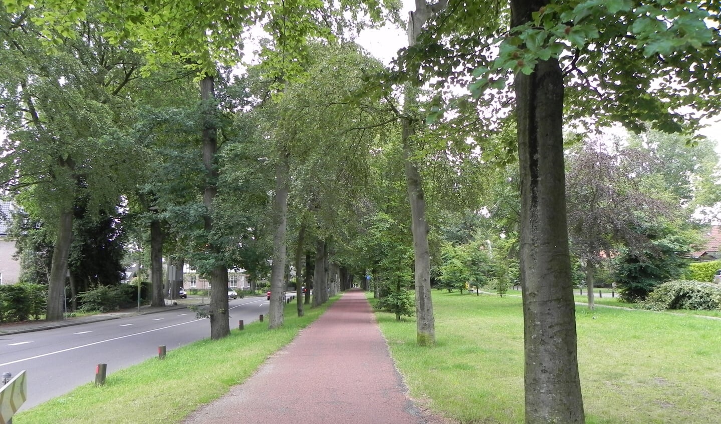 Het rijwielpad op deze actuele opname loopt nu ongeveer ter hoogte van het paadje rechts achter de bomen op de oude foto.