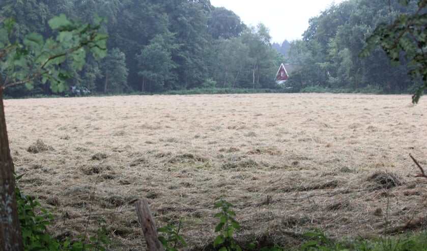 Dit weiland is de beoogde locatie voor een theehuis. Op de achtergrond de Embranchementsweg en de bebouwing Vuurseweg 1.