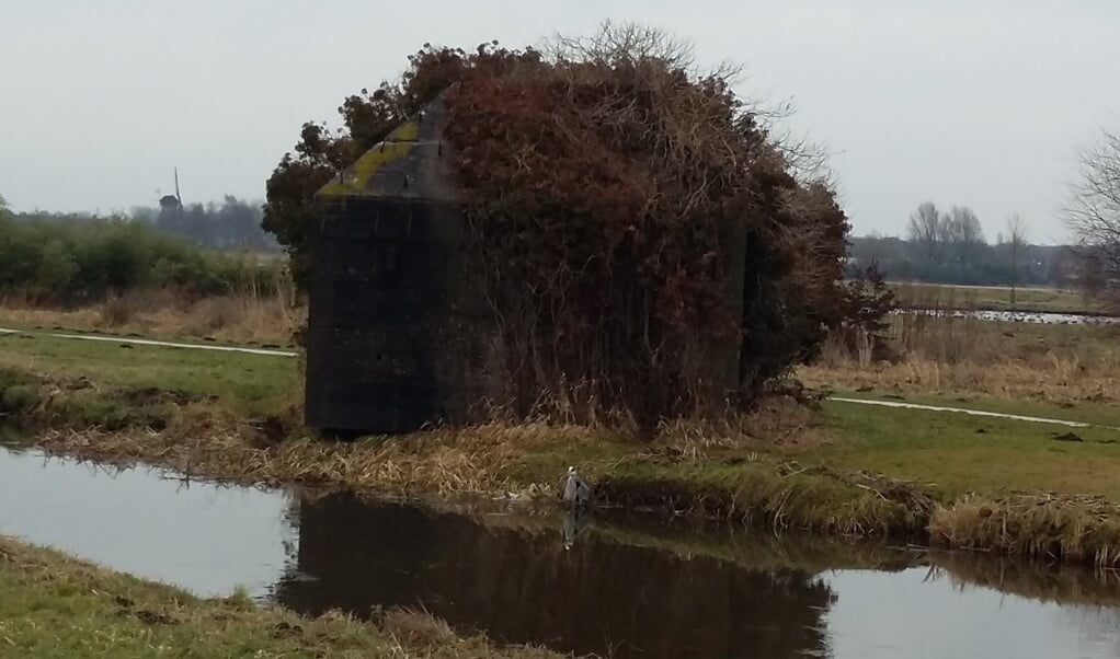 Een groepsschuilplaats in het recreatiegebied Ruigenhoek met op de achtergrond de molen Geesina.