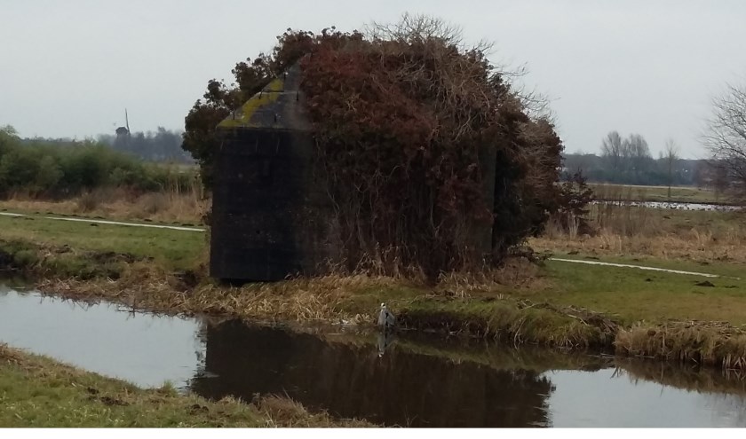 Een groepsschuilplaats in het recreatiegebied Ruigenhoek met op de achtergrond de molen Geesina.