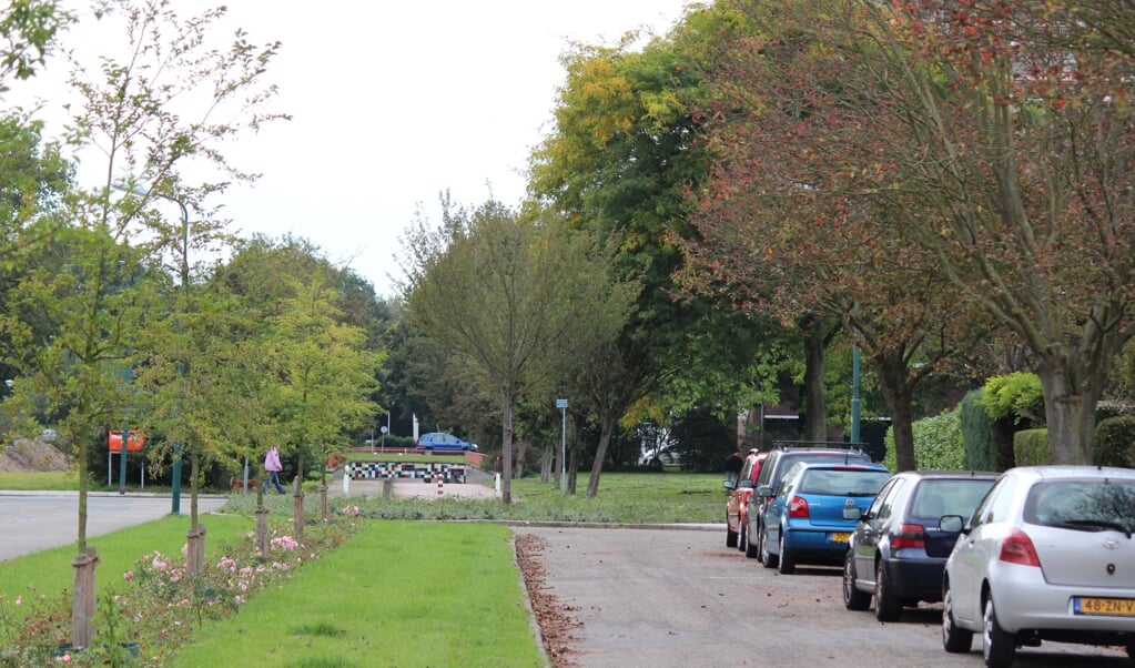 Al vanaf 2014 wordt gepleit voor het doortrekken van de Asserweg naar de Biltse Rading.