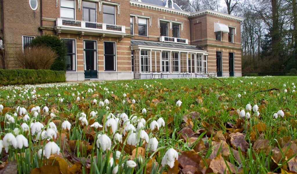 Met de enorme hoeveelheden sneeuwklokjes op Oostbroek komt het voorjaar in zicht. (foto Renk Ruiter)