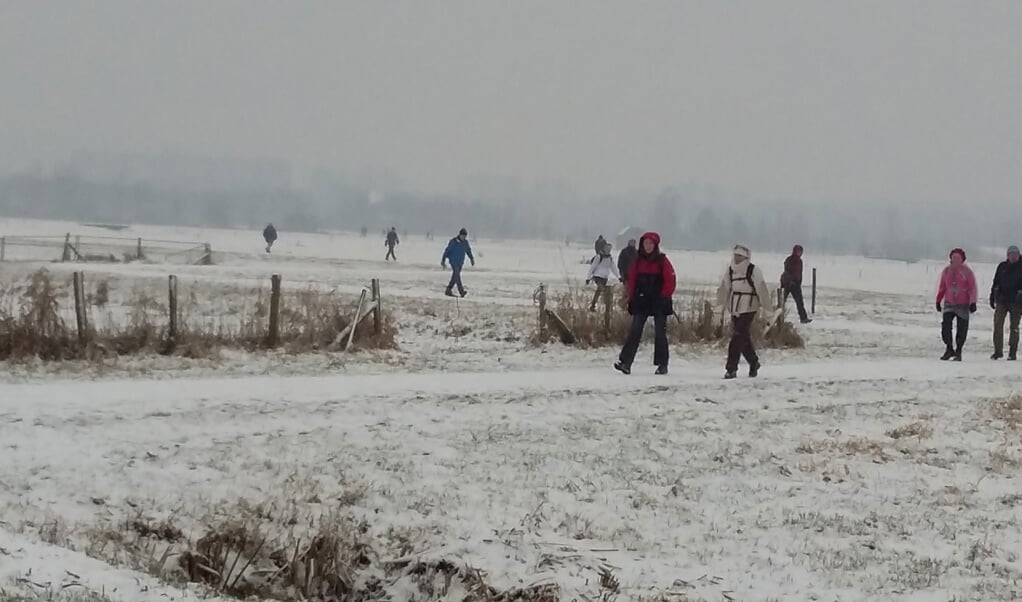 466 wandelaars trotseerden het winterse weer afgelopen zaterdag. 