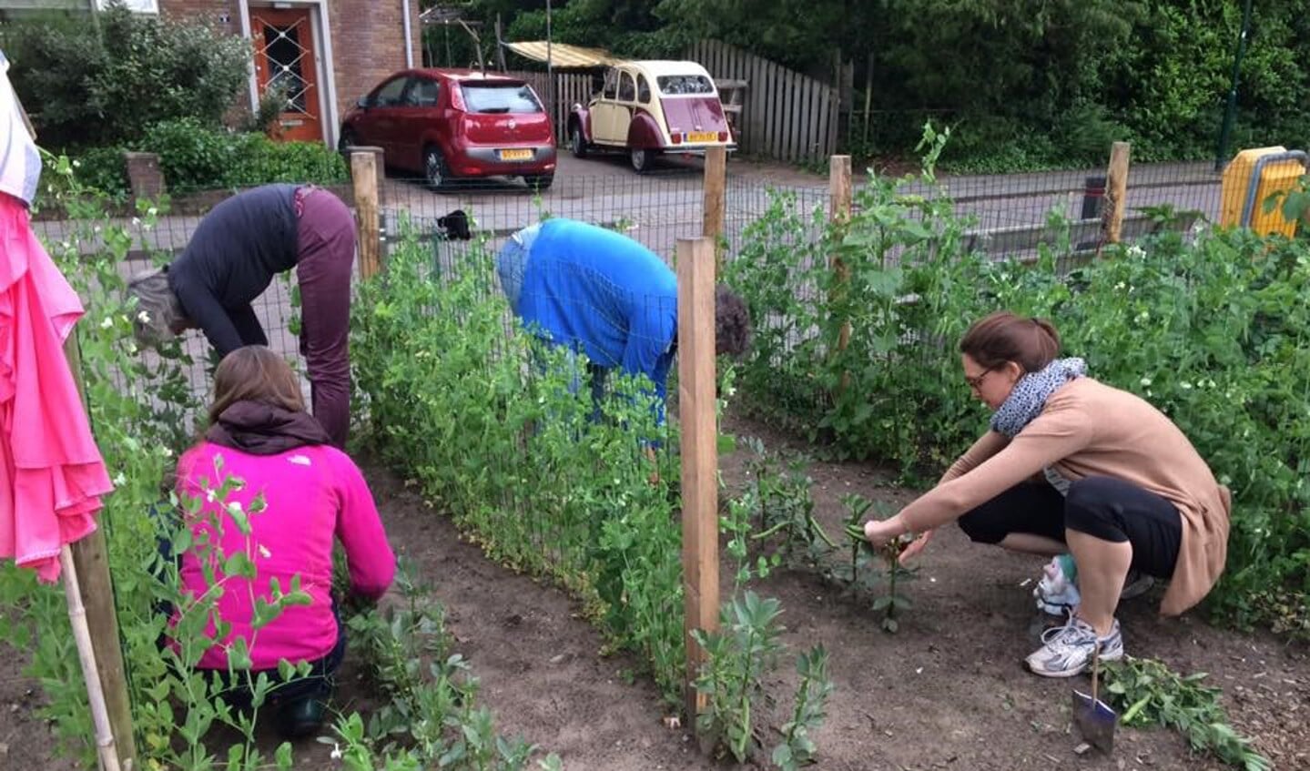 Bewoners aan het werk in de Moestuin De Raasdonders aan de Zephyrusweg in De Bilt.