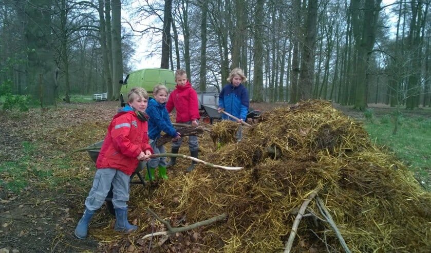Broedplaats voor ringslangen.