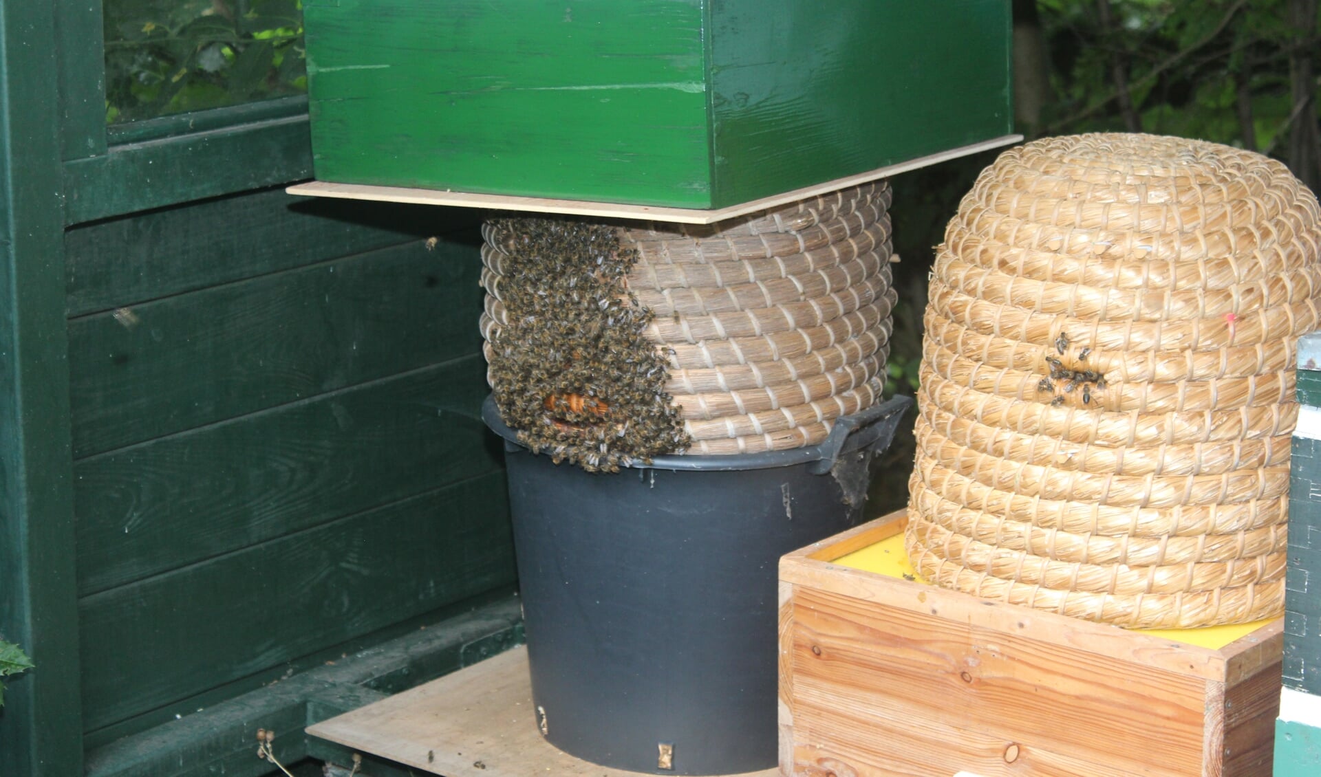  De bijen weten Kastanjelaan 1 in Groenekan goed te vinden.