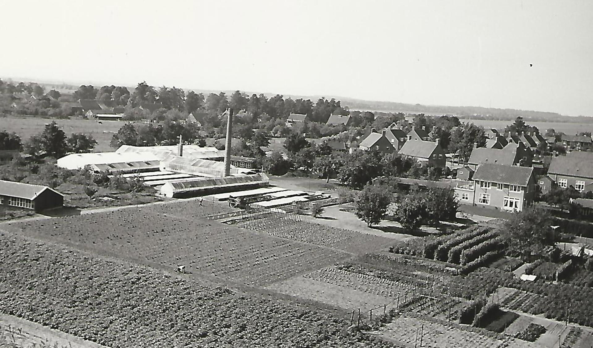 Luchtfoto van de voormalige kwekerij incl. kassen en toegangsweg vanaf de Molenweg. (foto uit de verzameling van Koos Kolenbrander)