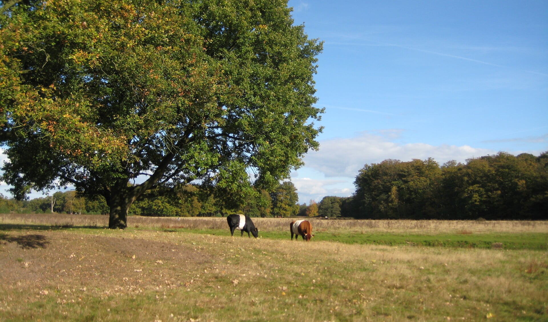 Rondom het huis is de tuin deels in de Engelse landschapstijl en deels in de Franse barokstijl aangelegd.