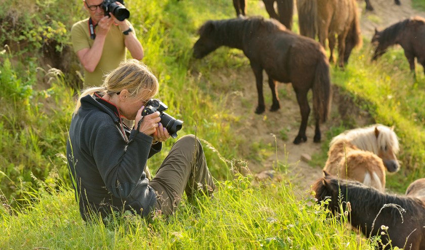 Tijdens de workshop leer je de mooiste natuurfoto's maken.