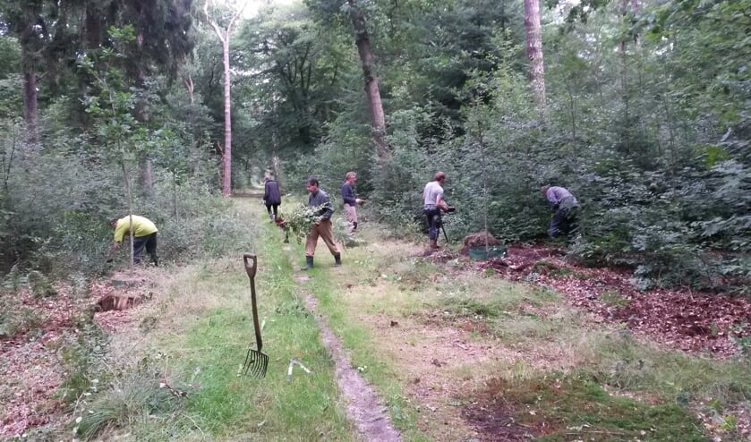 Een groep van 5 tot 7 vrijwilligers werkt op Landgoed Eyckenstein.