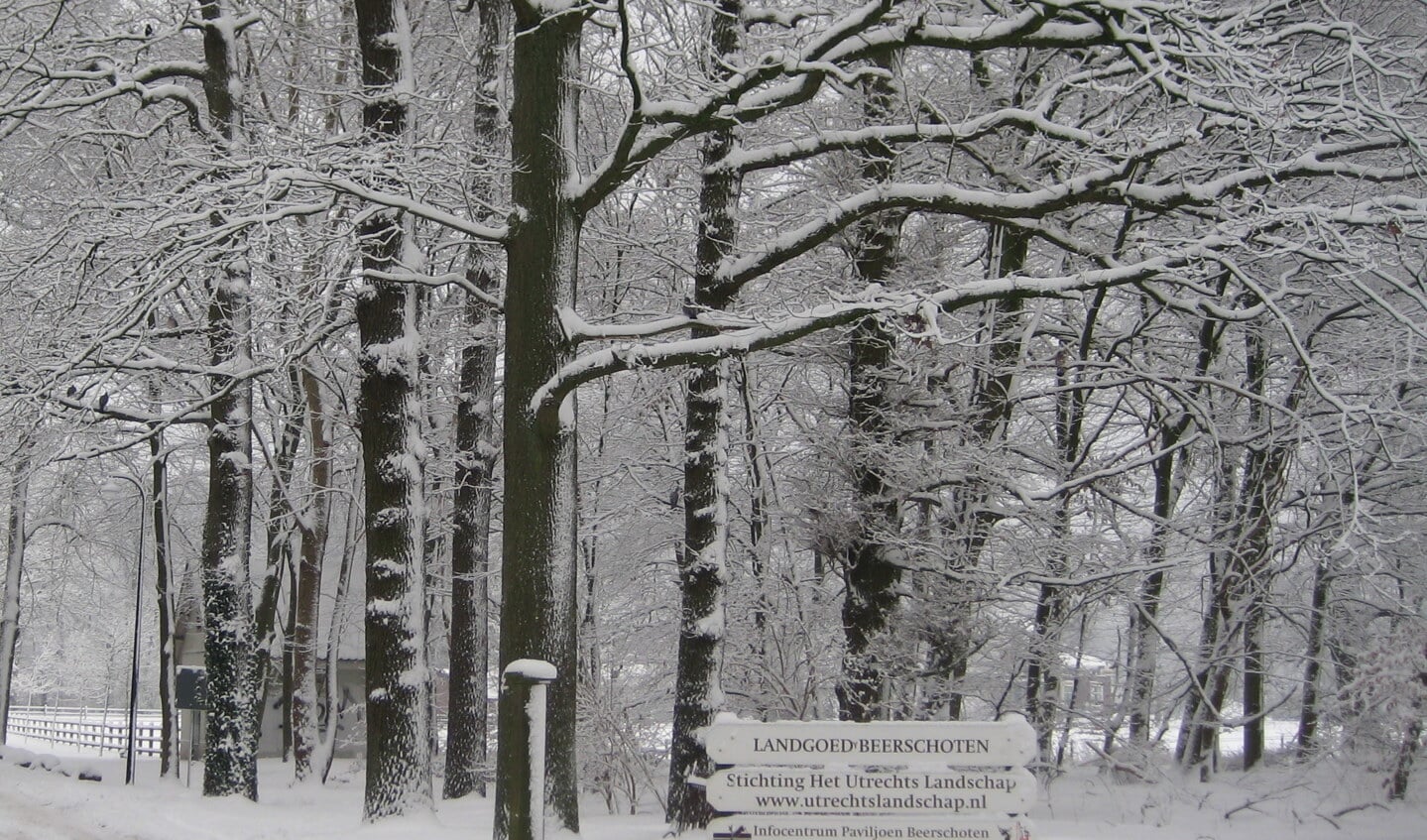  Beerschoten levert een betoverend plaatje op met sneeuw.