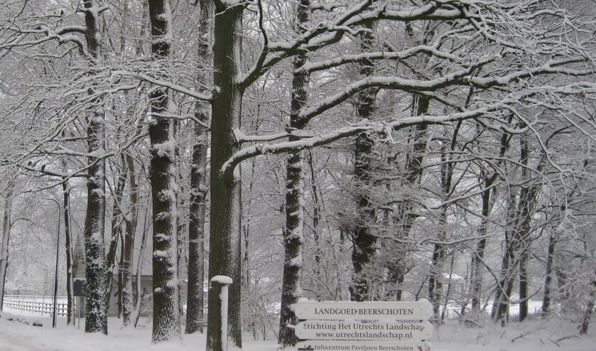 Beerschoten levert een betoverend plaatje op met sneeuw.