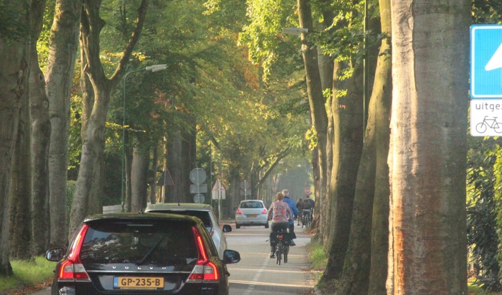 Auto's en fietsers wringen zich langs elkaar heen in het nauwe deel van de Jan Steenlaan tussen de Rembrandtlaan en de Jan van Eycklaan. 
