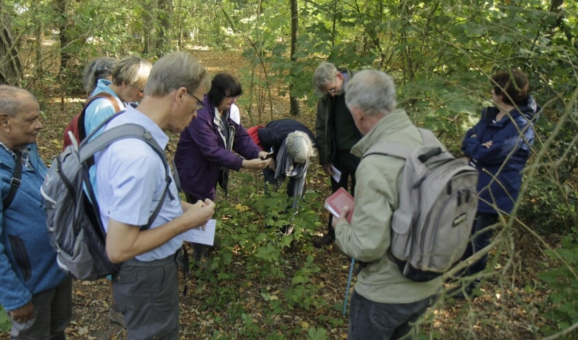 Grote belangstelling voor de paddenstoelenwandeling.