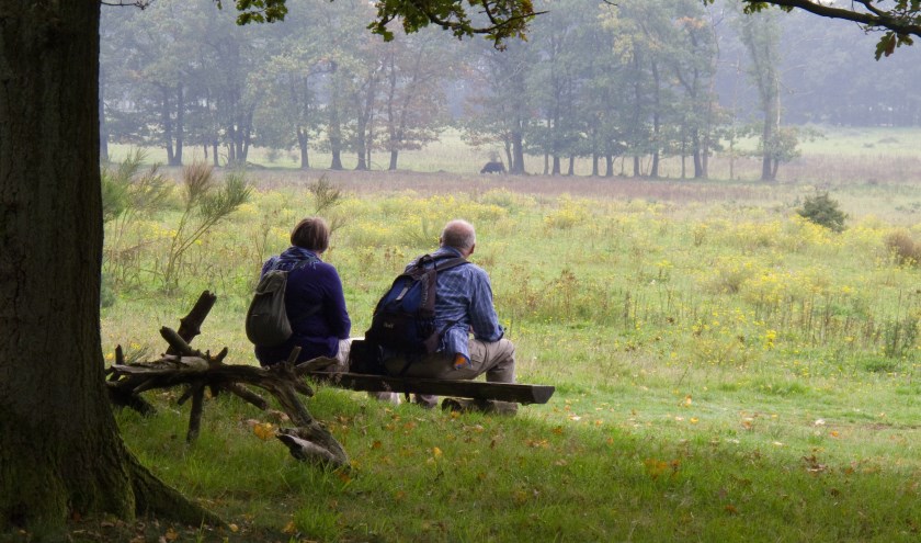 Utrechts Landschap werft nieuwe Beschermers om natuur in de provincie blijvend veilig te kunnen stellen.