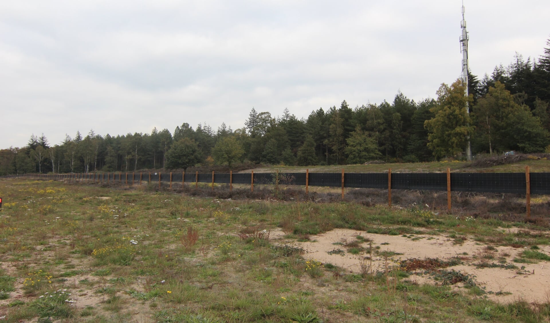 De keuze voor het specifieke groen past in de omgeving. Voor de A27 zal dit voornamelijk bestaan uit heide, jonge struiken, bomen en grotere laanbomen.