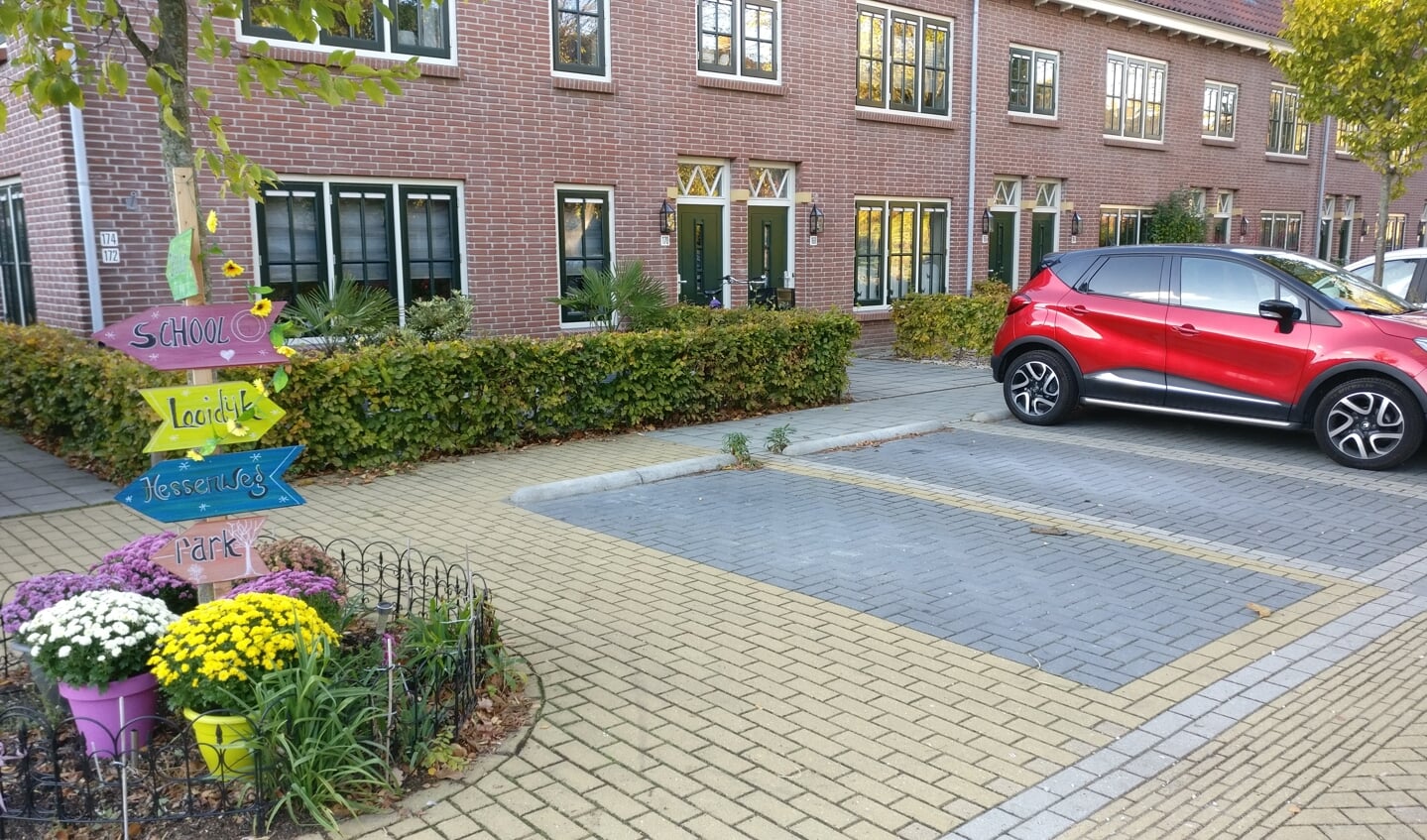 Voldoende plek voor een invalideparkeerplaats stellen de pleitbezorgers van de wijk.