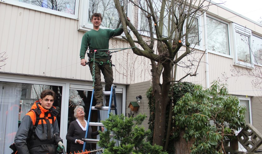 Donderdag 20 december ging het Hoveniersbedrijfsbedrijf in de tuin aan de slag in Utrecht. Ondanks het vele beton in die woonwijk koestert mevrouw het groen in haar tuin; alleen is ze nu niet meer in staat de grote struiken en bomen de snoeien.