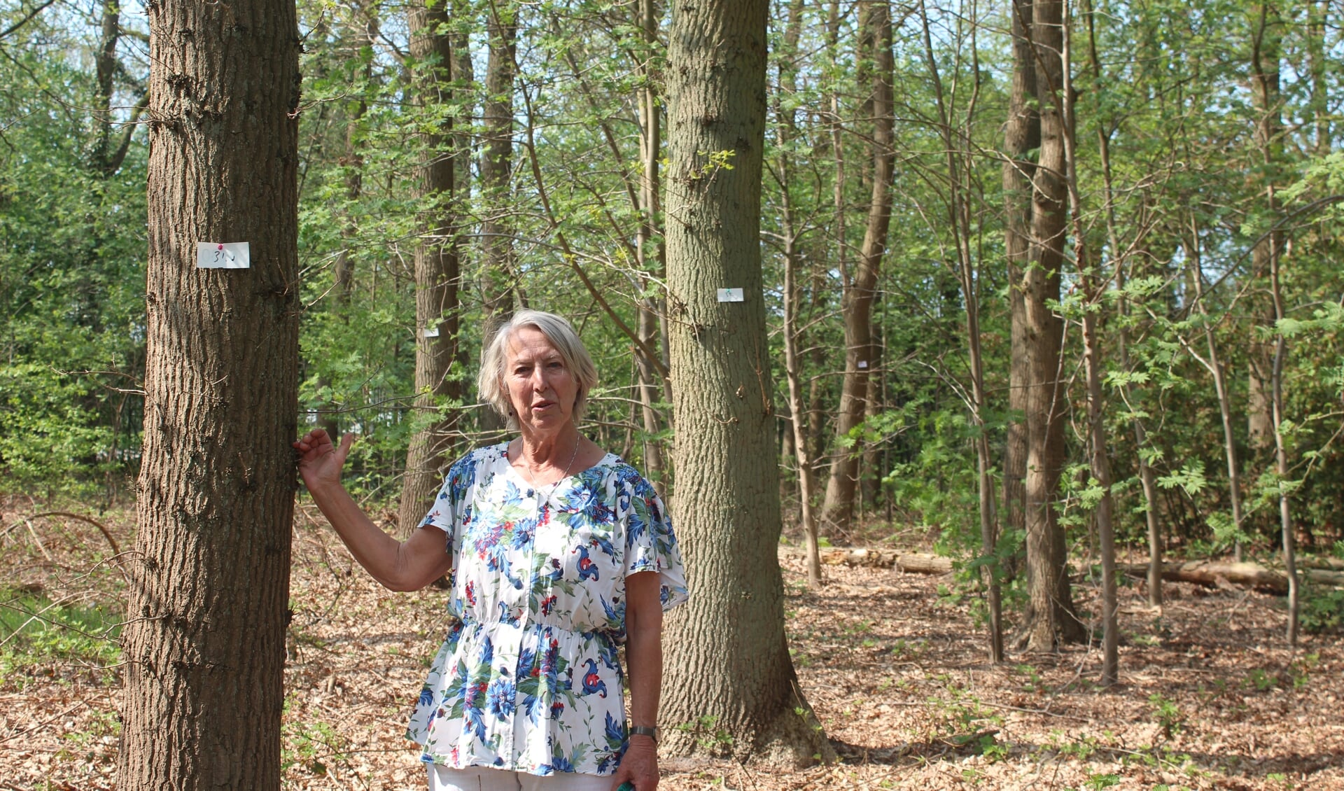 Tonneke Wilmink dacht dat zij goed opgelet had, maar zag tot haar grote schrik dat de bomen naast Schoonderwoerd gemerkt zijn. 