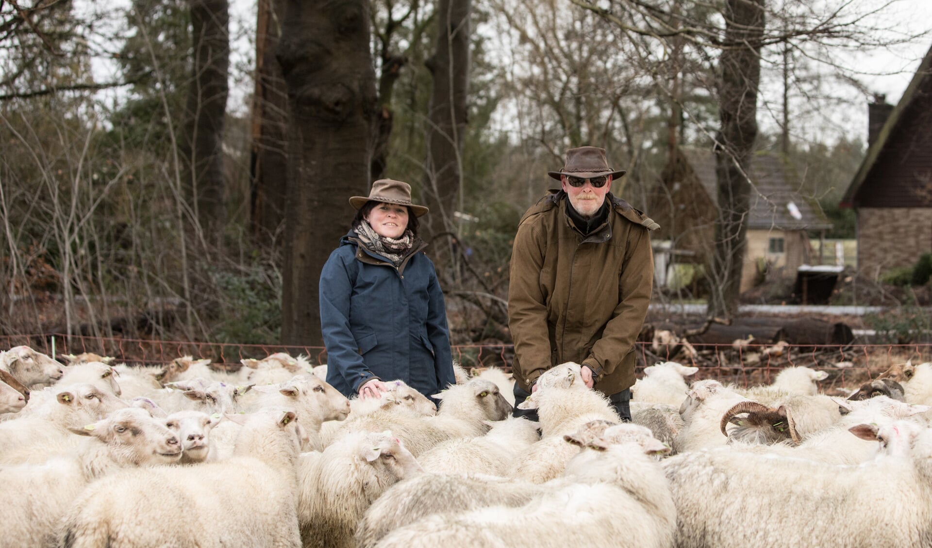 De zoektocht naar de perfecte graasplek voor de 260 schapen gaat nog even door.