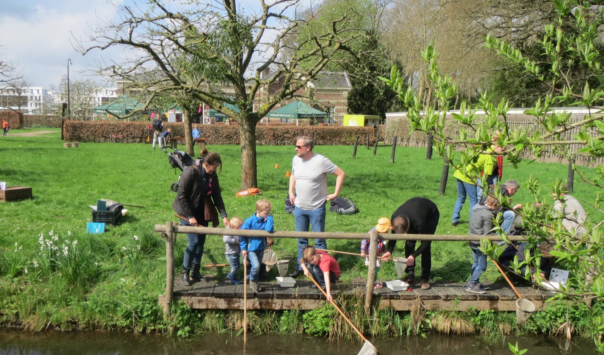 Op zoek naar waterdiertjes in de sloot.