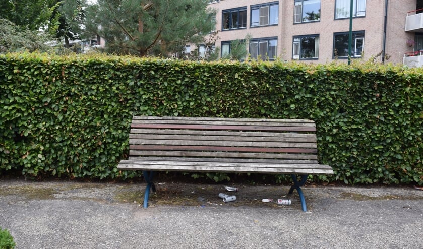 Zwerfafval in het parkje aan de Jan Provostlaan in Bilthoven is de bewoners een doorn in het oog.