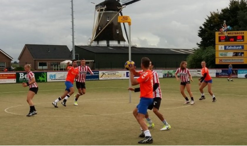 De DOS-velden liggen vlak bij de molen in Westbroek.