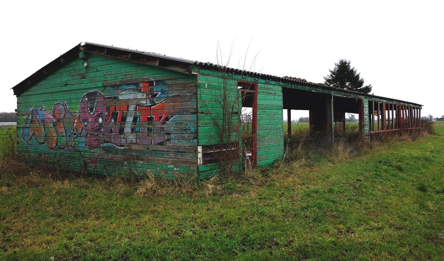 Het staketsel van planken vol graffiti. 