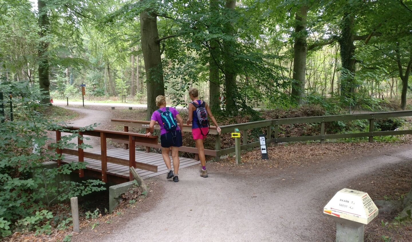 Ook wandelaars vinden hun weg over de fietsbrug in Lage Vuursche. [foto Henk van de Bunt]