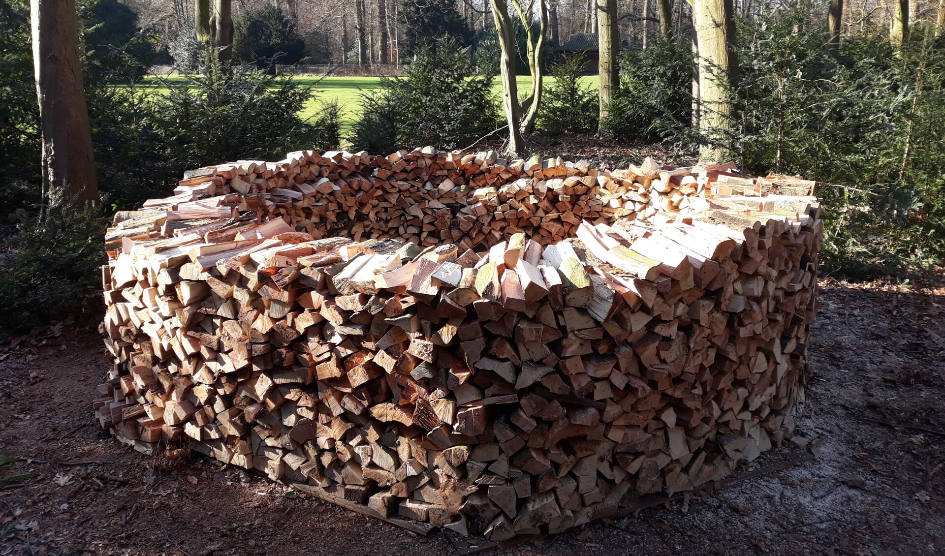 Het gekloofde hout ligt in ringen gestapeld om op natuurlijke wijze te kunnen drogen. (foto Bert Tuinzaad)