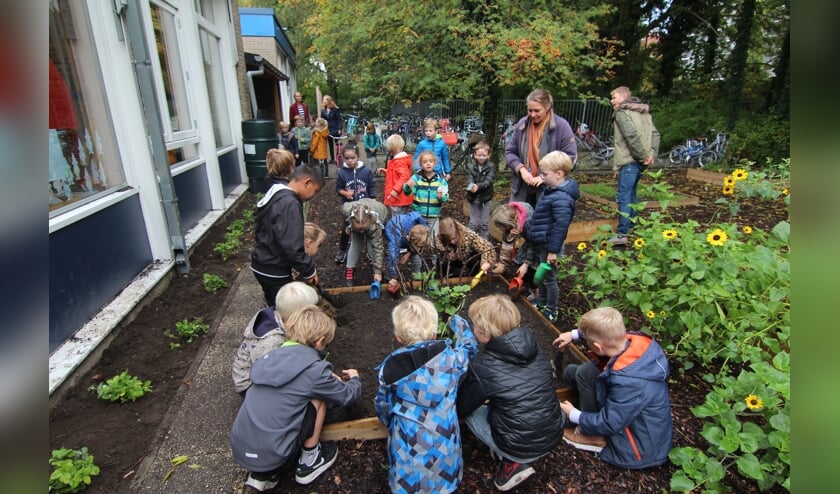 Leerlingen van de Patioschool zijn druk in de tuin. Er ging ook een fors aantal bloembollen de grond in waar de bijen in het voorjaar goed van kunnen profiteren.