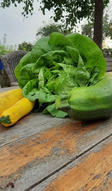 Verrassing's groenten Onze zomerse tafel Met liefde gedekt