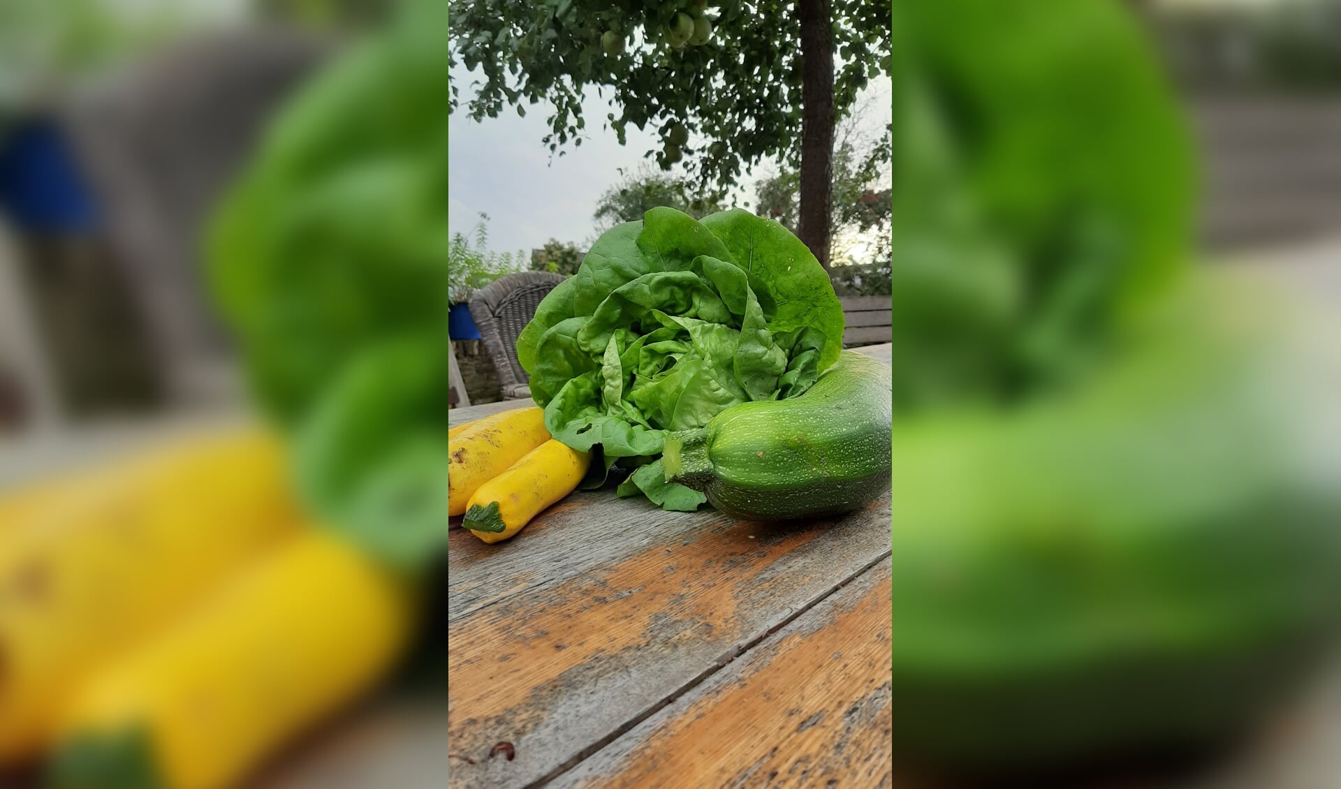 Verrassing's groenten  Onze zomerse tafel  Met liefde gedekt