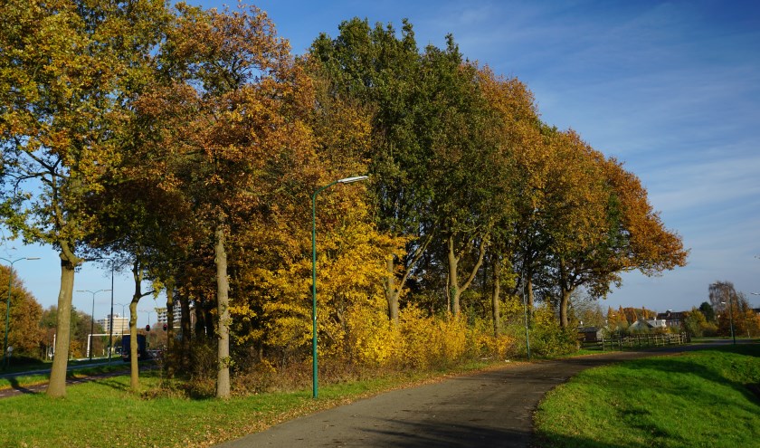 Volop herfst