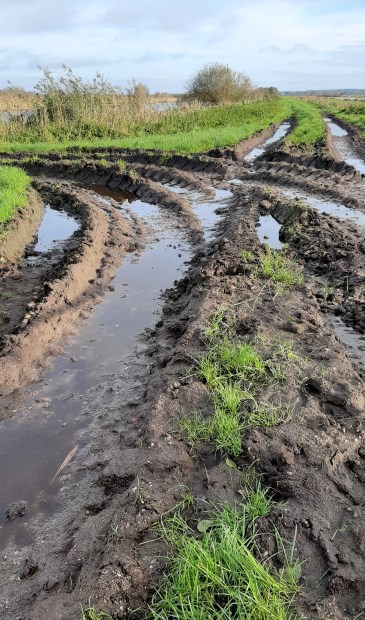 Verdriet om het veen
