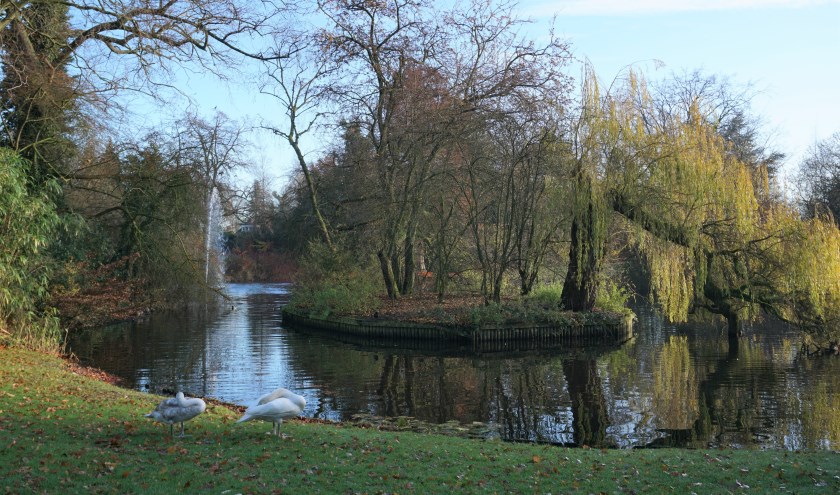 Einde herfst in zicht