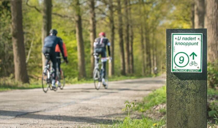 Het knooppuntennetwerk wordt door het Routebureau Utrecht onderhouden.