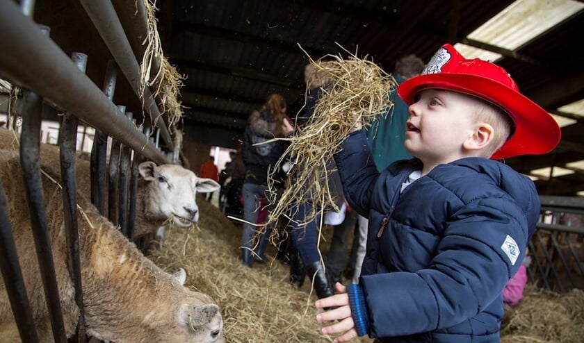 Jong en oud is welkom op de lammetjesdag.