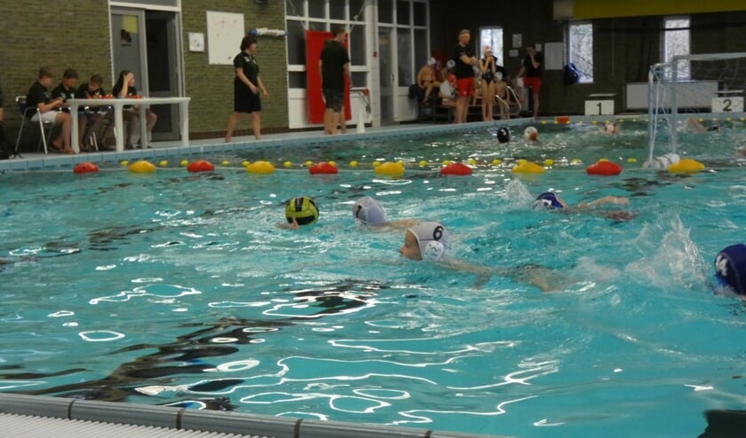 BZC Brandenburg organiseert waterpoloworkshops voor kinderen tot 14 jaar.