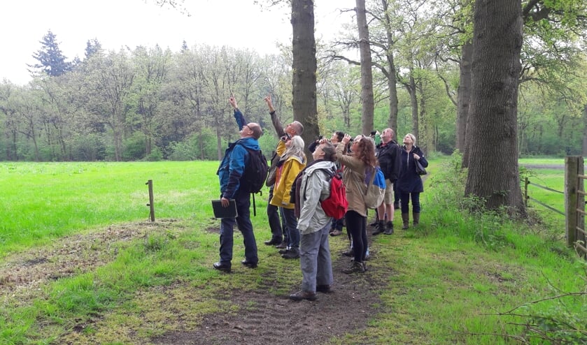 De vogelexcursie uit 2017 gaat op herhaling. (foto Lex van Boetzelaer)