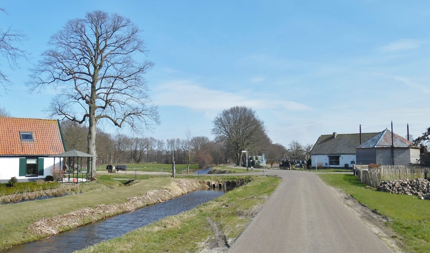 Deze foto volgt de grens over de Floris V weg naar het oosten, richting Hollandse Rading. Daar volgt de grens de abrupte overgang van het veenweidegebied naar bos.