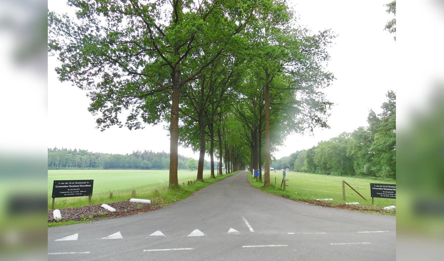 De Maartensdijkseweg wordt gekruist naast het conferentieoord Renova.