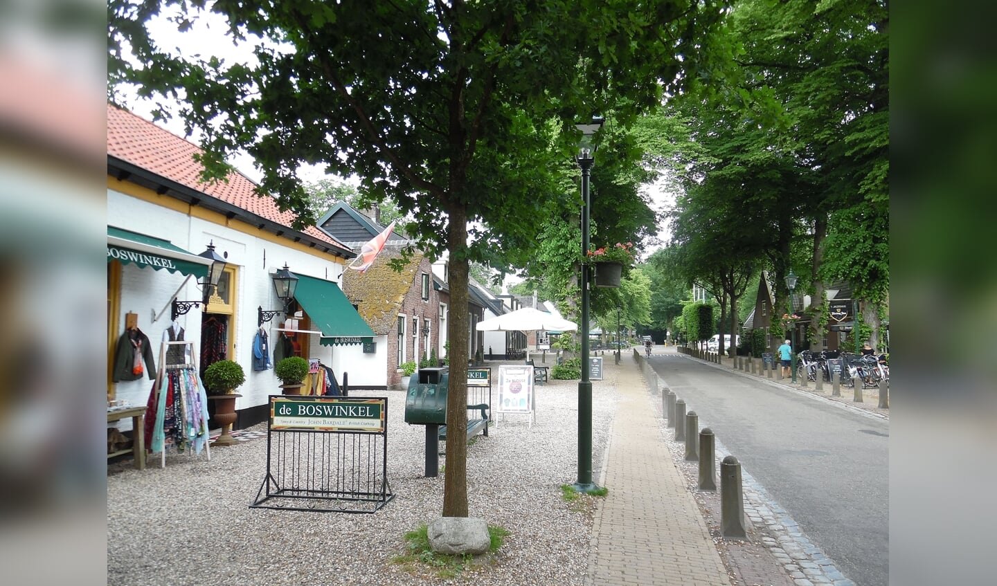 De grens bereikt via de Koudelaan Lage Vuursche (Dorpsstraat) en loopt iets ten westen van het dorp verder zuidwaarts door het bos. Hierbij worden resp. de Maartensdijkseweg en de Soestdijkseweg gekruist..